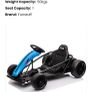 go cart Image 6