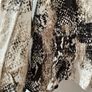 M&S Collection Ladies Top size 20 New without tags Image 3