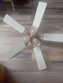 Fan Light