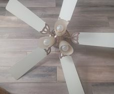 Fan Light