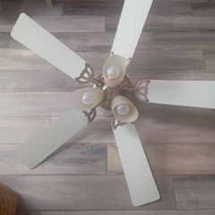 Fan Light