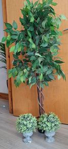 Artifical plants