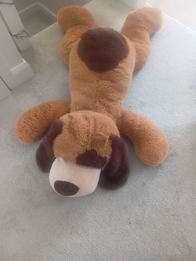 giant Teddy