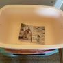 Cooler Box Image 3