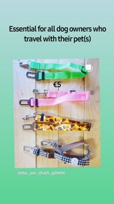 Dog safety belt