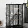Bird Cage with Removable Tray and Perches, Aviary for Parrots, 61x36.5x98 cm, Black Image 3