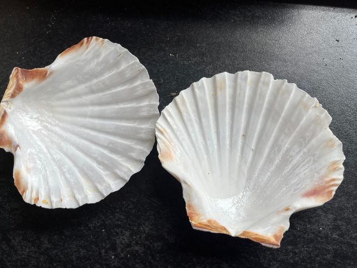 2 Shells