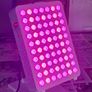 Custom Kingbrite Red & Blue Light Therapy Panel - Like New Image 2