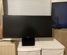 LG 29" UltraWide IPS Monitor
