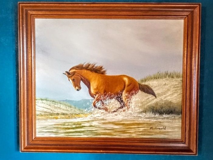 Oil painting on canvas Mcdonald
