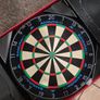 Plasma Dartboard Light + Phone Holder Image 3