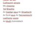 Leaving Cert Irish Essays & Oral Notes Image 2