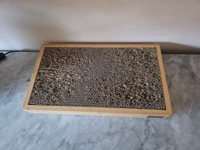 More Cat Scratcher