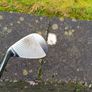 Mizuno Es 21 wedges Image 5