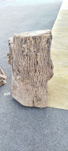 Tree Stumps