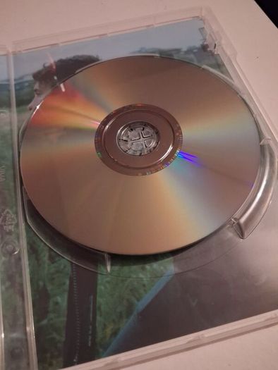 Bird Andrea Arnold DVD