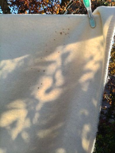 Vintage wool Blanket