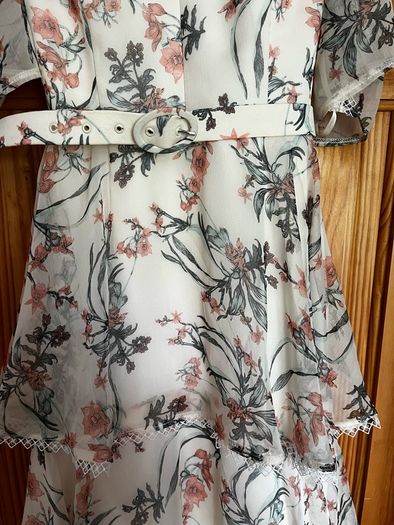 Shauna Fay Dress