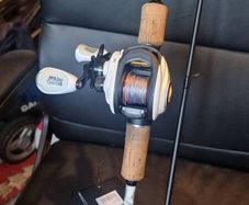 Abu Garcia max pro baitcaster