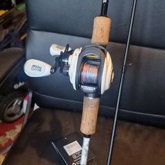 Abu Garcia max pro baitcaster