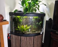Fluval Venezia 190 Riparium (Going Concern)