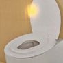 Toilet Trainer Seat  Kiddie Toddler Free Image 2