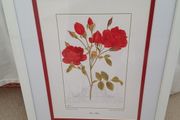 Beautiful Botanical Framed Print