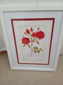 Beautiful Botanical Framed Print
