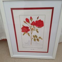 Beautiful Botanical Framed Print