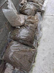 Bags of Hardcore