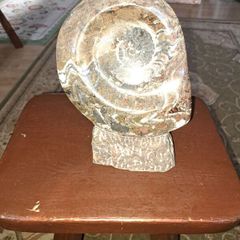 Ammonite statue