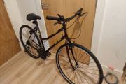 Bicycle. Medium frame.