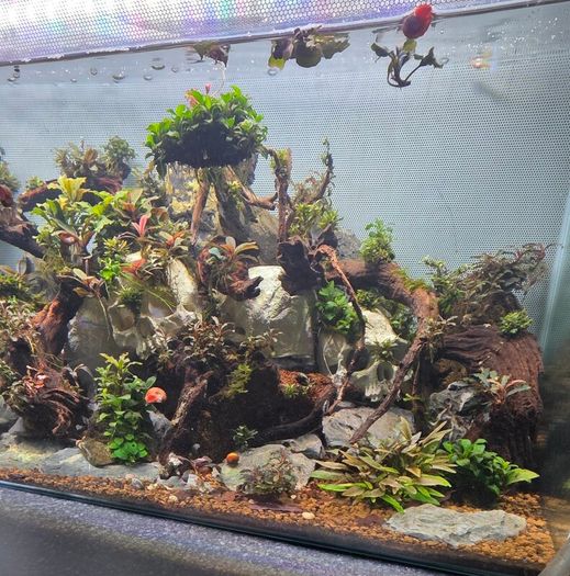 fluval flex