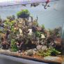 fluval flex Image 2