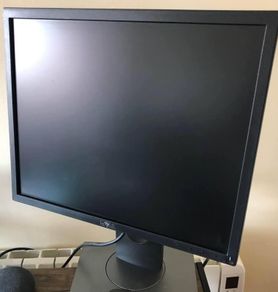 Monitor Dell P1917SC 19"