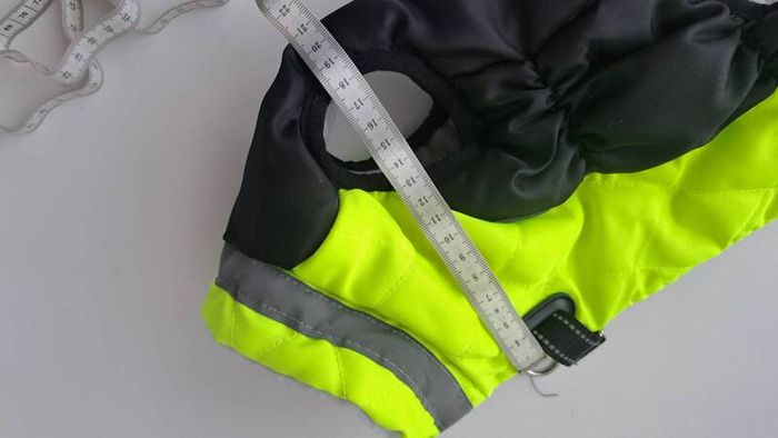dog jacket