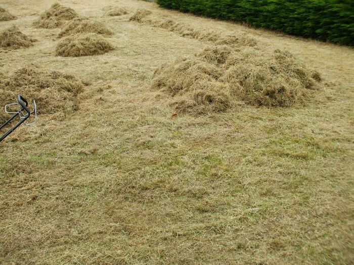 Free Animal Bedding /Feed