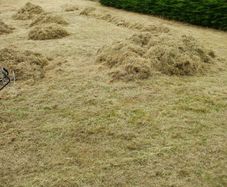 Free Animal Bedding /Feed