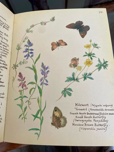 1980 Hardback Edition The Country Diary of An Edwardian Lady 1906