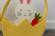 Soft easter bunny basket baby