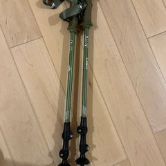 Hiking sticks