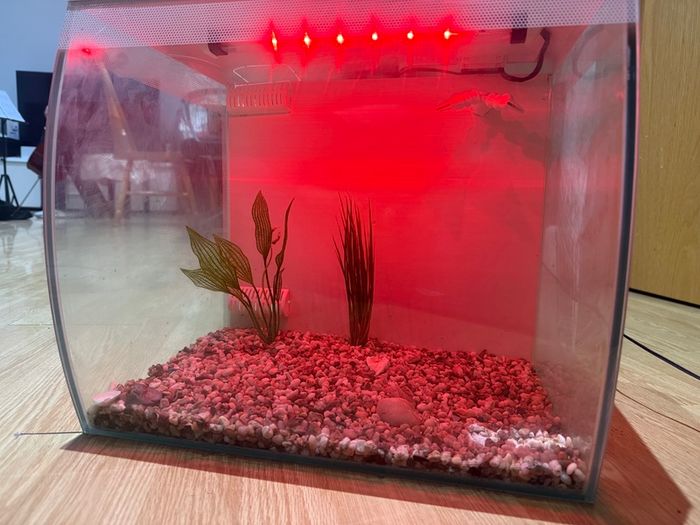 Fish tank