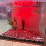 Fish tank Image 5