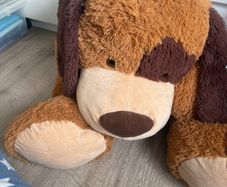 extra large teddy
