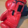 12oz Fight Rite Boxing Gloves Image 3