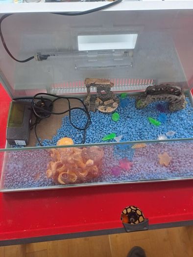 50 Litre Fish Tank