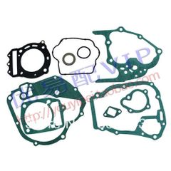 Cf250cc Full Gasket Kit Watercooled Atv/quad Buggy