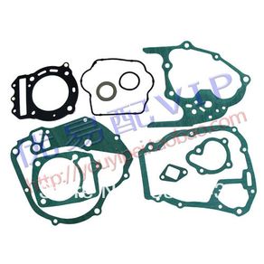 Cf250cc Full Gasket Kit Watercooled Atv/quad Buggy
