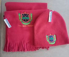 Presentation Wexford Secondary School uniform scarf hat crest new