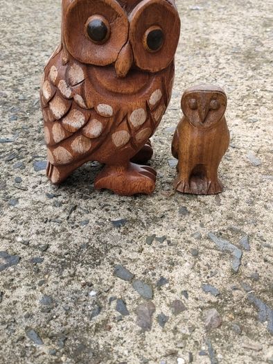 Hardwood carved Tawny owls